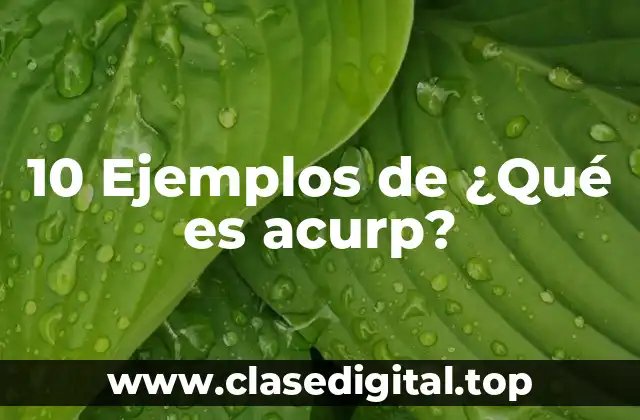 10 Ejemplos de ¿Qué es acurp?