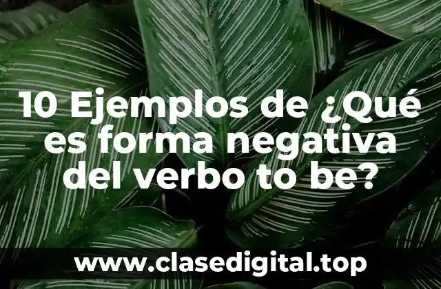10 Ejemplos de ¿Qué es forma negativa del verbo to be?