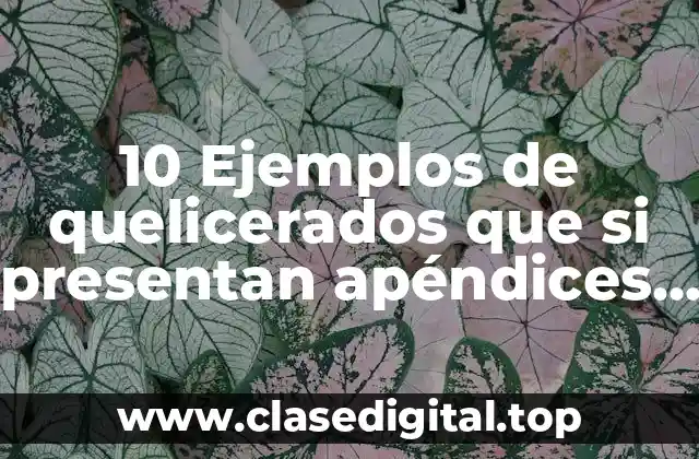 10 Ejemplos de quelicerados que si presentan apéndices en el opistosoma