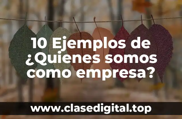 10 Ejemplos de ¿Quienes somos como empresa?
