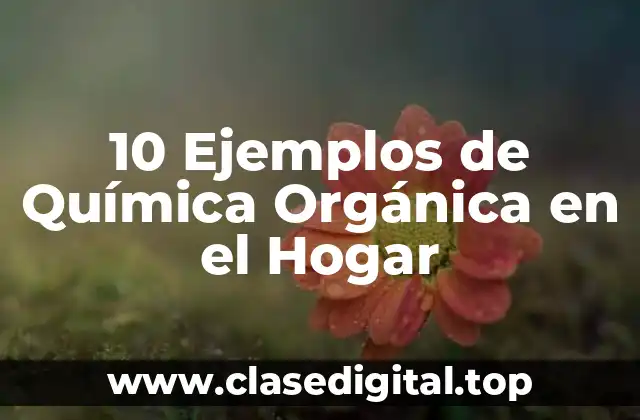 10 Ejemplos de Química Orgánica en el Hogar