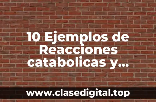 10 Ejemplos de Reacciones catabolicas y anabólicas