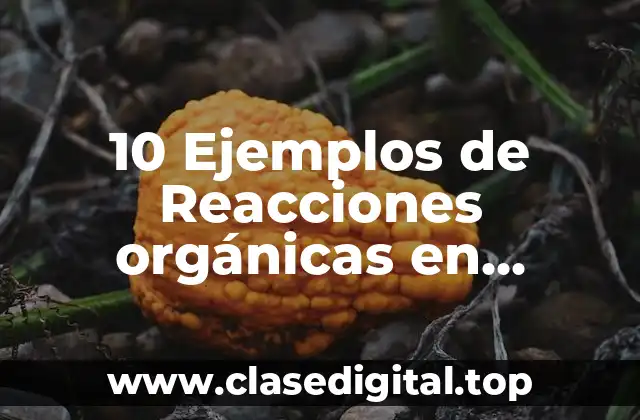 10 Ejemplos de Reacciones orgánicas en naturaleza cotidianidad en la industria