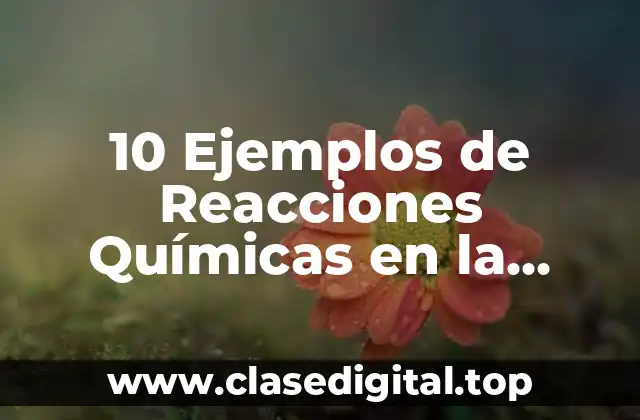 10 Ejemplos de Reacciones Químicas en la cocina