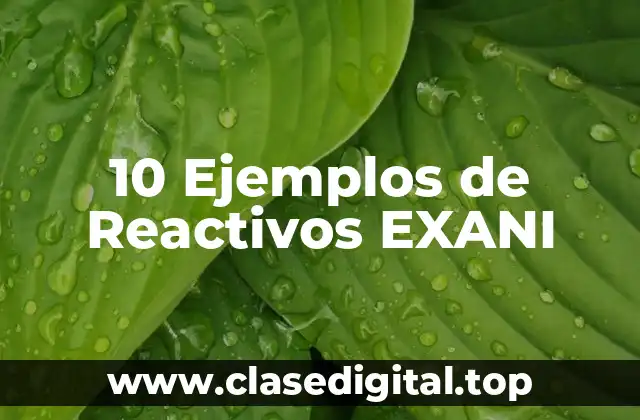 Ejemplos de reactivos EXANI-II Áreas