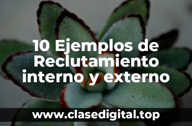 10 Ejemplos de Reclutamiento interno y externo