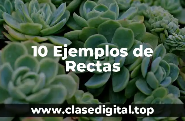 10 Ejemplos de Rectas