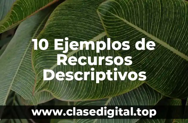 10 Ejemplos de Recursos Descriptivos