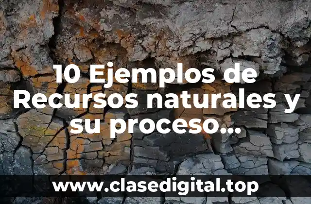 Ejemplos de recursos naturales