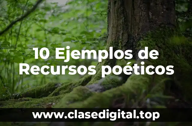 10 Ejemplos de Recursos poéticos