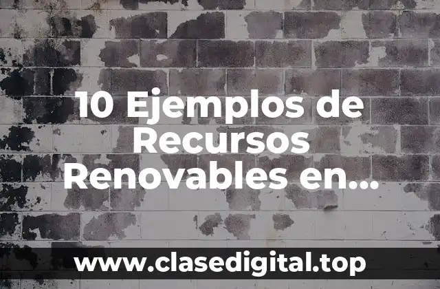 10 Ejemplos de Recursos Renovables en Argentina