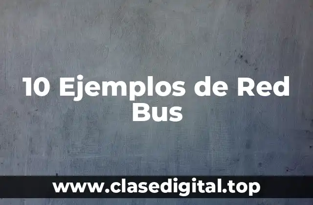 10 Ejemplos de Red Bus