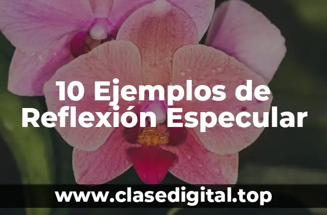 10 Ejemplos de Reflexión Especular