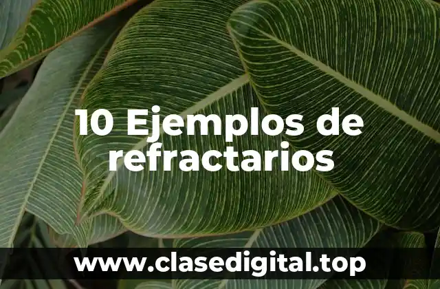10 Ejemplos de refractarios