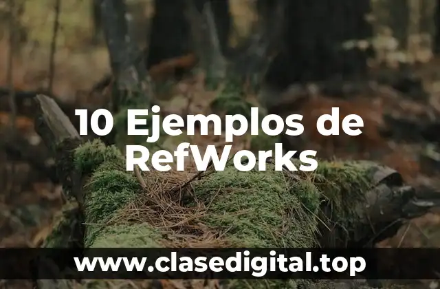 10 Ejemplos de RefWorks