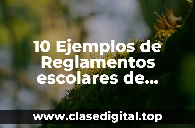 10 Ejemplos de Reglamentos escolares de primaria