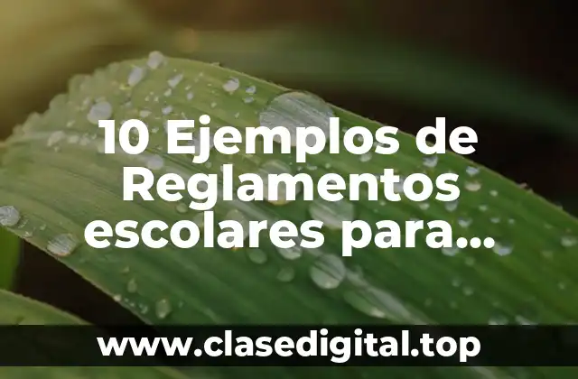 10 Ejemplos de Reglamentos escolares para secundaria