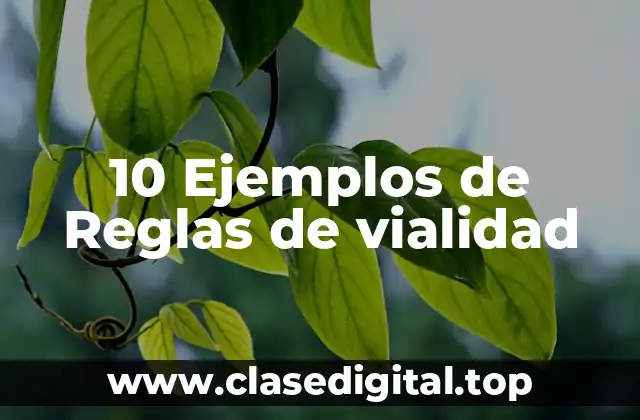10 Ejemplos de Reglas de vialidad
