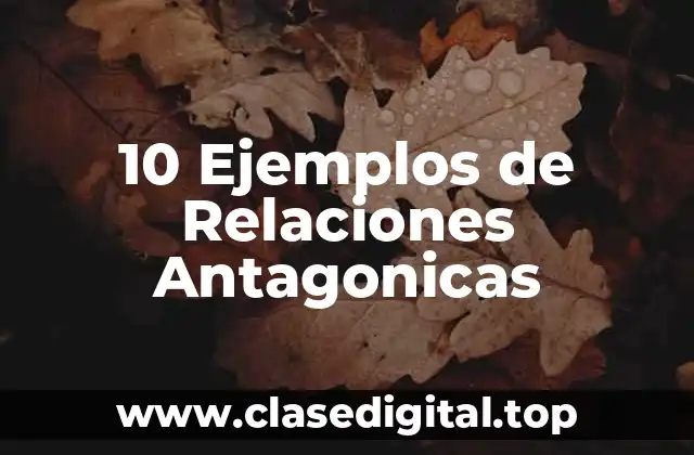 10 Ejemplos de Relaciones Antagonicas