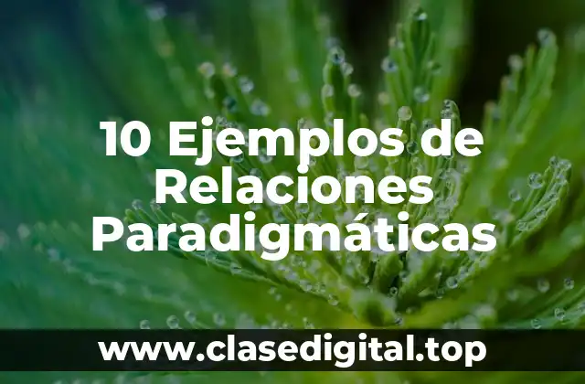 10 Ejemplos de Relaciones Paradigmáticas