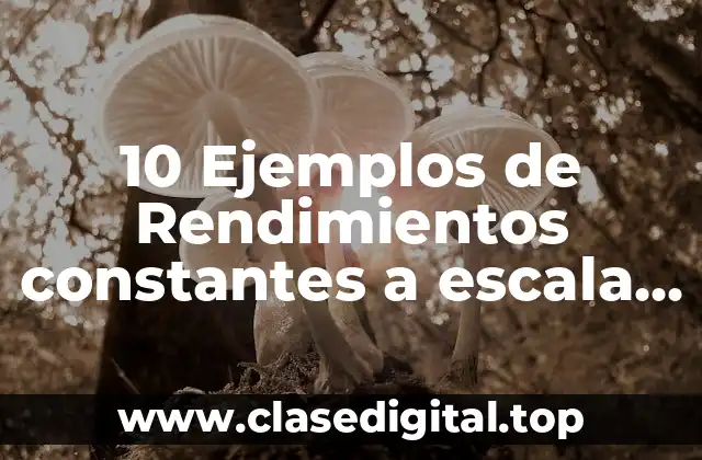 10 Ejemplos de Rendimientos constantes a escala en la vida real