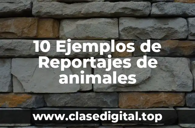 10 Ejemplos de Reportajes de animales