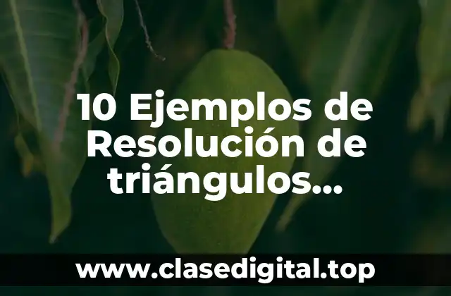 10 Ejemplos de Resolución de triángulos rectángulos en la vida real