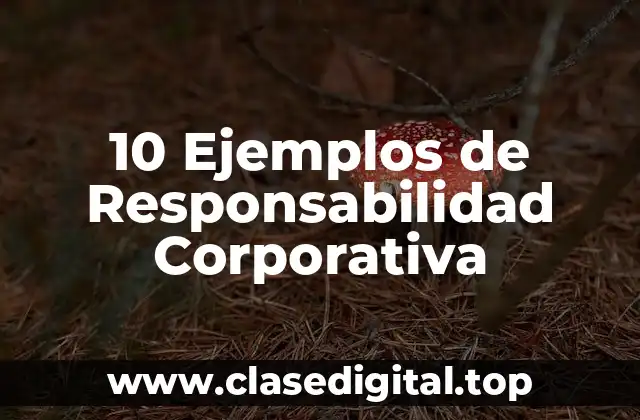 10 Ejemplos de Responsabilidad Corporativa