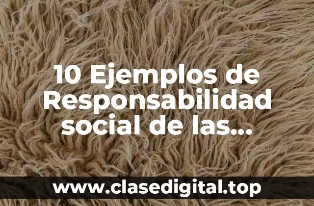 10 Ejemplos de Responsabilidad social de las instituciones y organizaciones