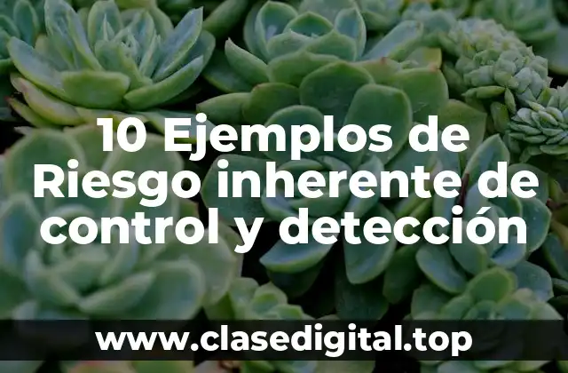 10 Ejemplos de Riesgo inherente de control y detección
