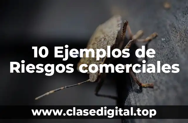 10 Ejemplos de Riesgos comerciales