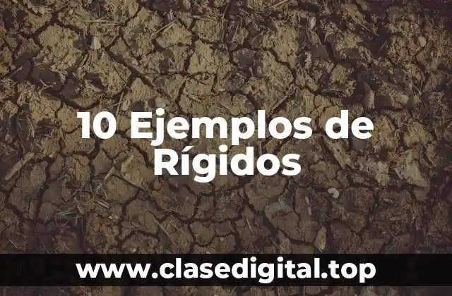 10 Ejemplos de Rígidos