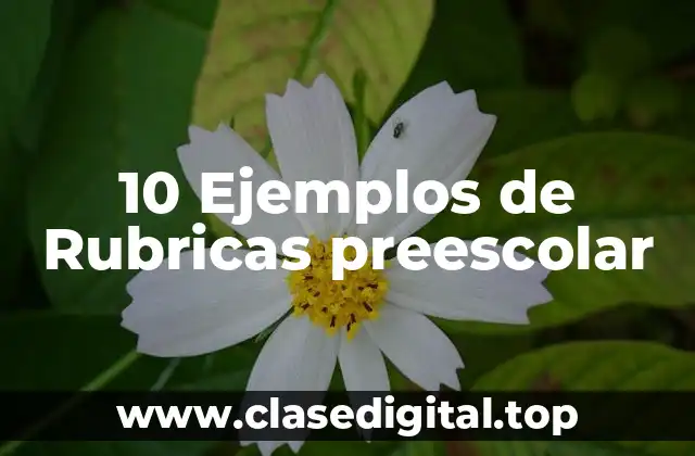 10 Ejemplos de Rubricas preescolar