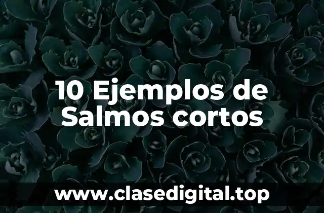 10 Ejemplos de Salmos cortos