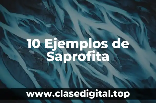 10 Ejemplos de Saprofita