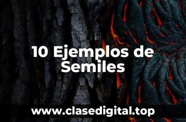 10 Ejemplos de Semiles