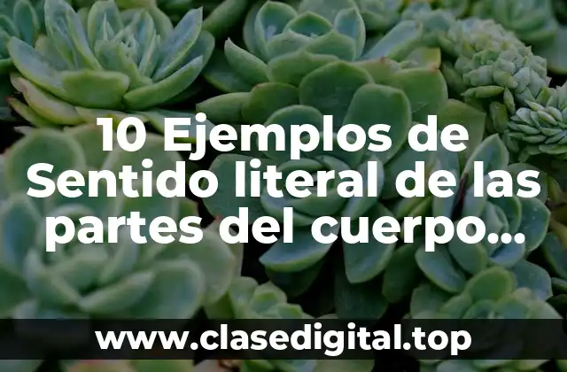 10 Ejemplos de Sentido literal de las partes del cuerpo humano