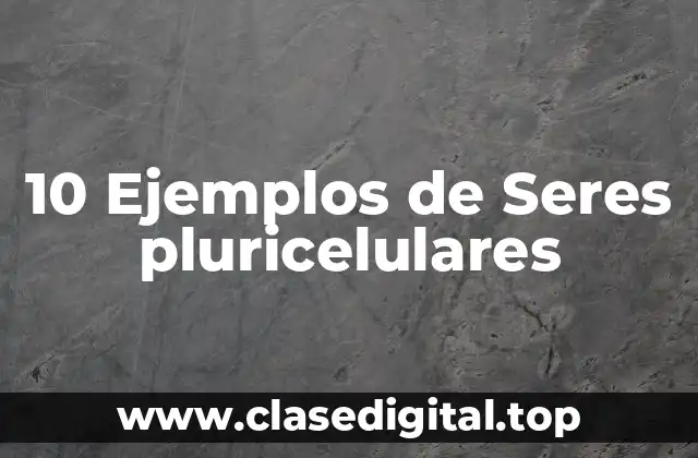 10 Ejemplos de Seres pluricelulares