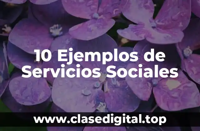 10 Ejemplos de Servicios Sociales