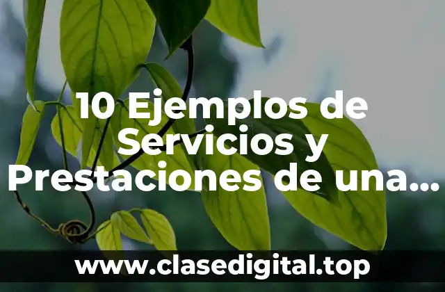 10 Ejemplos de Servicios y Prestaciones de una Empresa