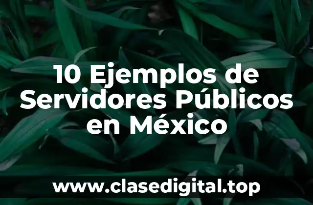 10 Ejemplos de Servidores Públicos en México