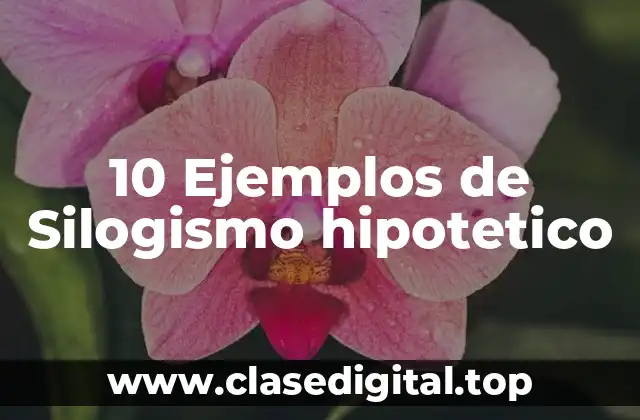 10 Ejemplos de Silogismo hipotetico