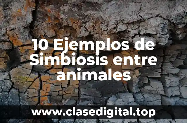 10 Ejemplos de Simbiosis entre animales