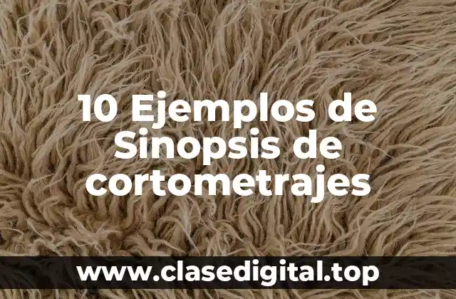 10 Ejemplos de Sinopsis de cortometrajes