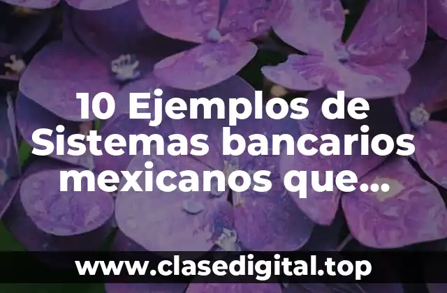 10 Ejemplos de Sistemas bancarios mexicanos que apoyan a las empresas