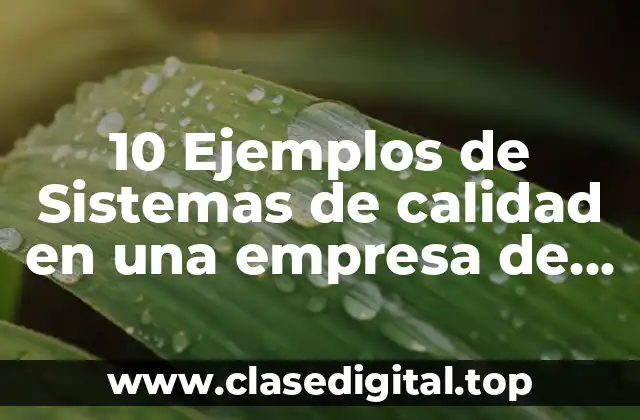 10 Ejemplos de Sistemas de calidad en una empresa de alimentos