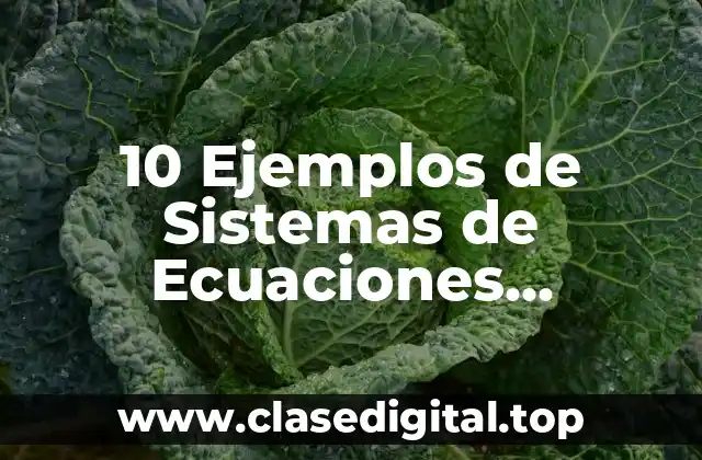 10 Ejemplos de Sistemas de Ecuaciones Diferenciales