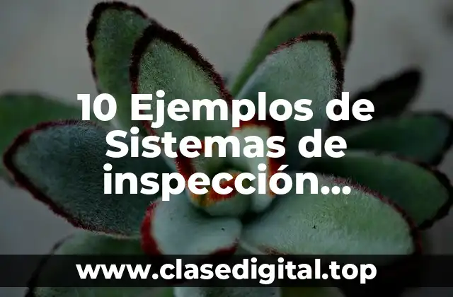 10 Ejemplos de Sistemas de inspección automática