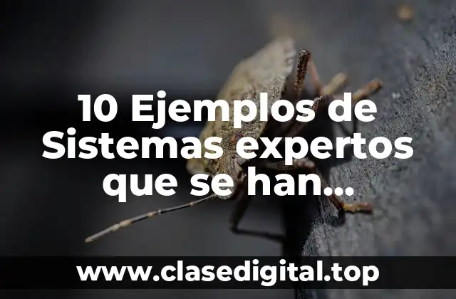 10 Ejemplos de Sistemas expertos que se han desarrollado lo agrícola