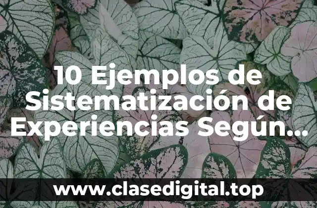 10 Ejemplos de Sistematización de Experiencias Según Oscar Jara